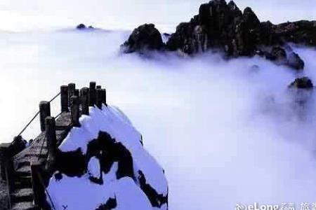 鲫鱼背发青什么原因