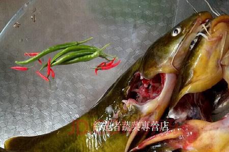 鱼头上有块骨头叫什么