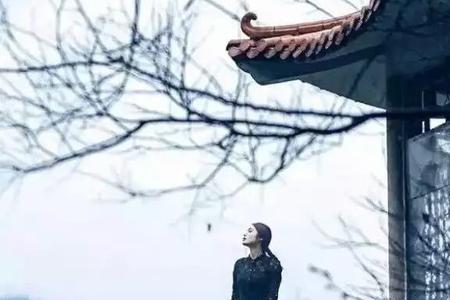 欣赏一个人是什么意思