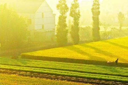 什么的阳光、什么的田野