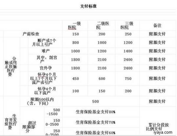 公司法人是自己生育津贴怎么弄