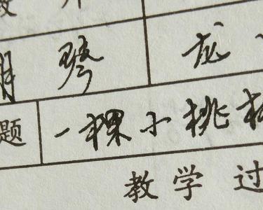 一棵小桃树感悟50字