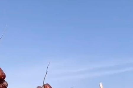 清洗的枣和吊干什么区别