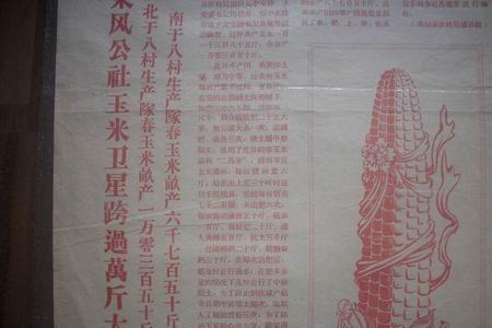 宿州玉米平均亩产