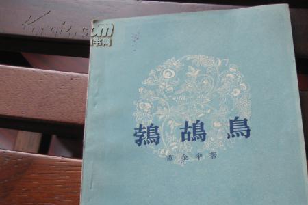 苏都鸟是什么