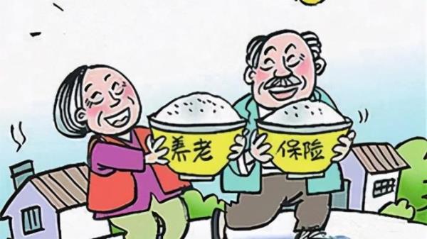 核查养老保险干什么