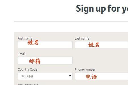 net是哪个国家的公司