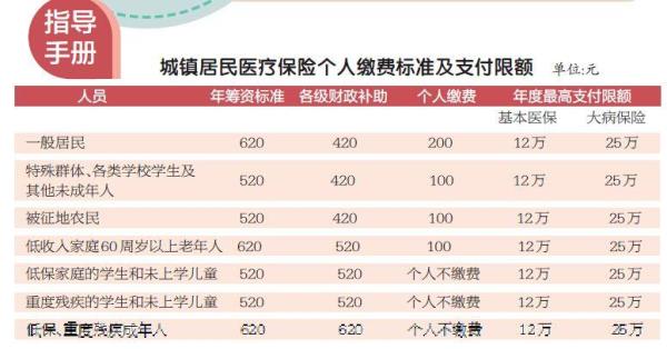 河南代缴医保怎么交