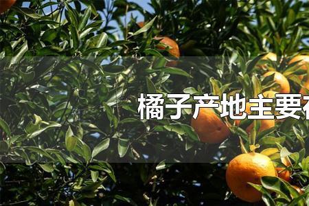 有适合河南种植的橘子吗