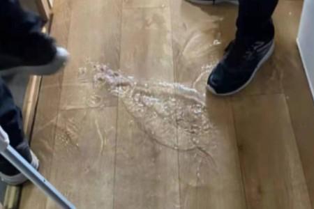 地暖关闭一屋关进水还是回水