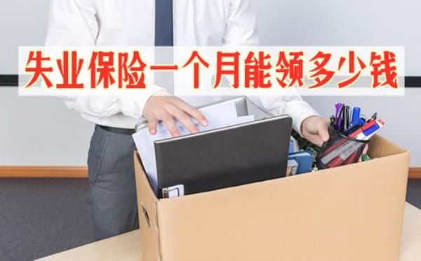 交了25个月失业金能领几个月