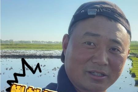 农民王小背后有团队吗