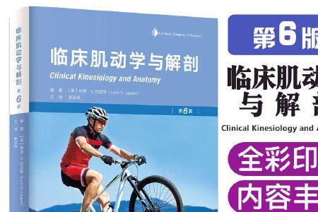主题清晰的意思