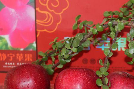 秦观苹果可以放冰箱冷冻吗