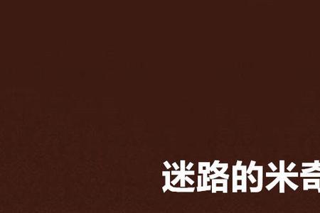 迷奇怎么样