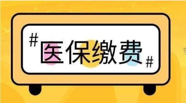 南充市医保320元包含哪些