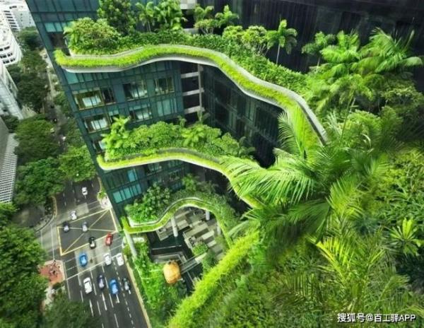 绿色高量柱什么意思