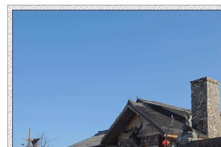 棠梨树下山桩怎么栽植