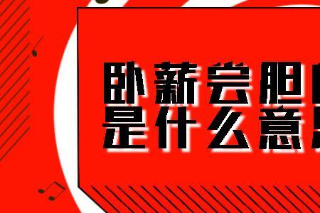 泼胆什么意思