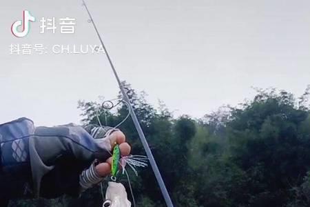 冬季路亚青梢最佳时间