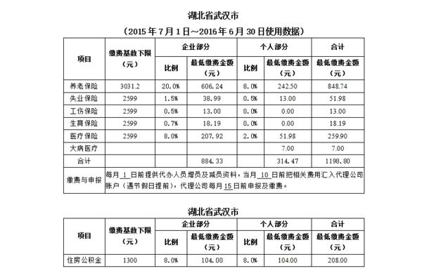 2020年武汉社保单位缴费为啥是0