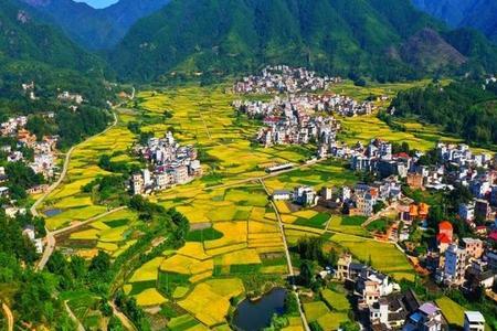 福建什么地方有水稻