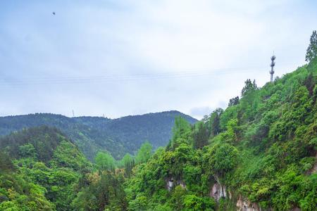 自然林地是什么性质