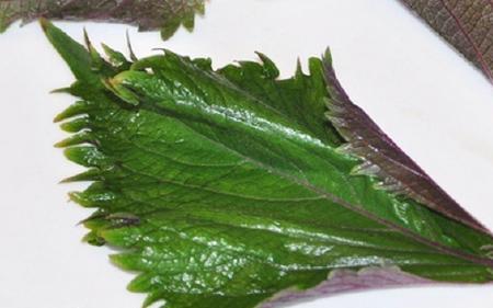 紫苏和酥麻是一样的吗