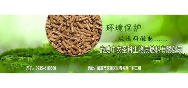 生物甲酯燃料需要电吗