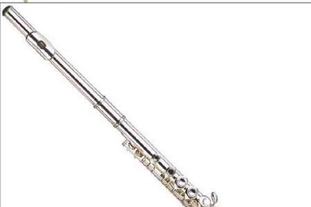 固定音的乐器有哪些