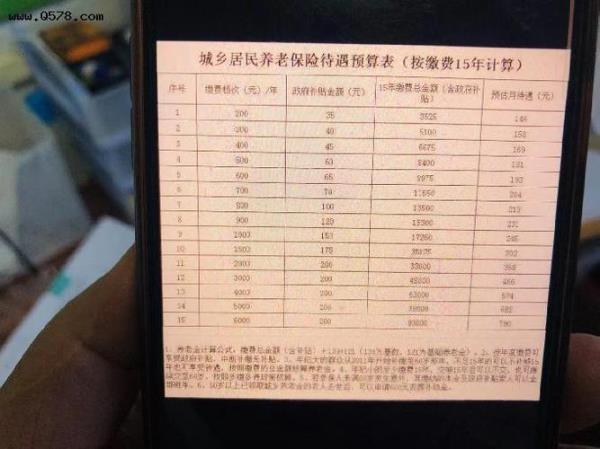 广东省2021年新农保缴费标准