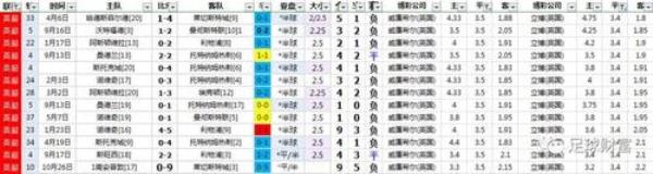 赔率极高什么意思