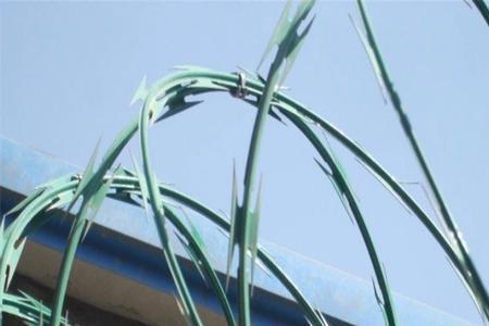 刺颅钉是什么