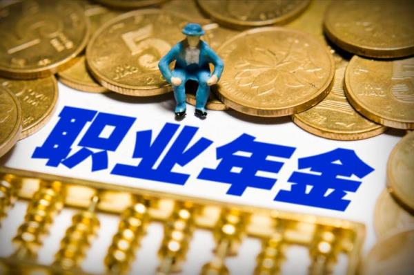 事业单位年金什么意思
