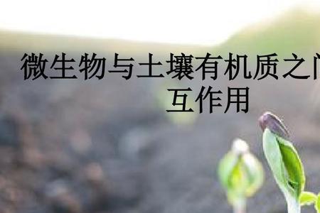 土壤有机质含量与海拔的关系