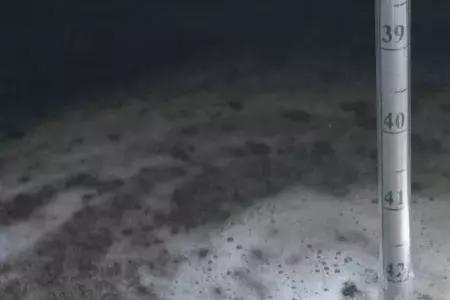 1波美度相当于多少毫克每升