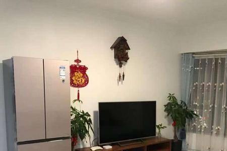 客厅放什么颜色的冰箱好看