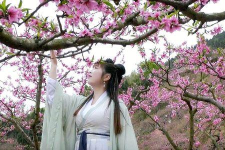 我家住在桃花山歌词含义