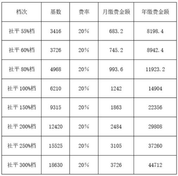清远社保缴费方式