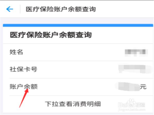 支付宝如何查询医保缴纳明细