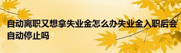 成都怎么停止失业金
