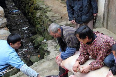 个人杀猪需要什么手续