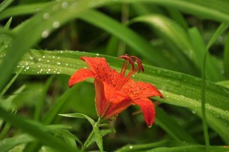 经风历雨同义词