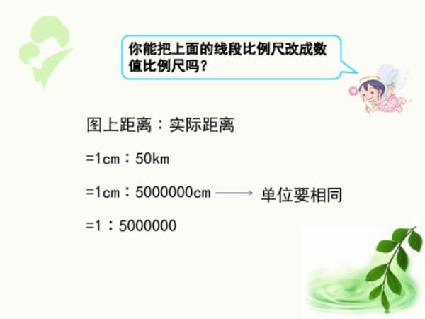 比例尺50:1什么意思