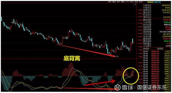反背离什么意思