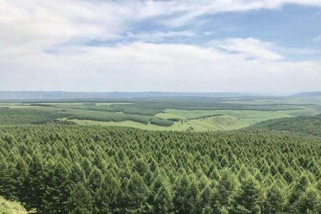 三北防护林可以开采石场吗