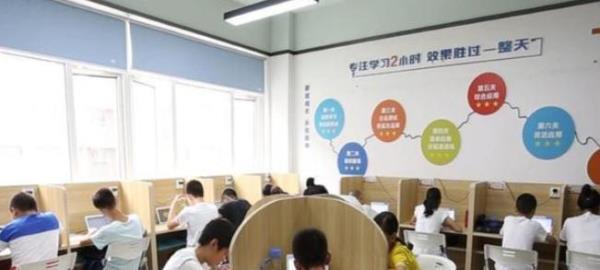 有才传媒是一个机构吗