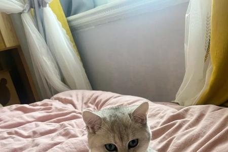 思忖的意思是什么