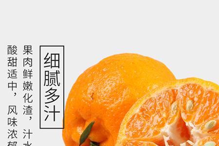 春见耙耙柑上市时间