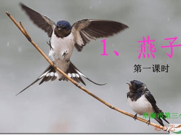 燕子什么地飞走了,填动词